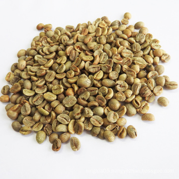 High Quality Good Price of Arabica Raw Coffee Beans